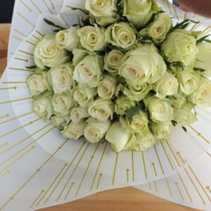 Pure White Roses